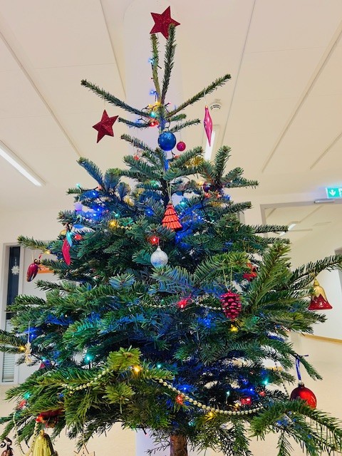 geschmückter Weihnachtsbaum